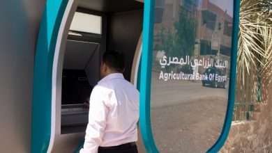 صورة البنك الزراعي المصري : زيادة الفئات التسليفية للمحاصيل لـ 25 % من اليوم