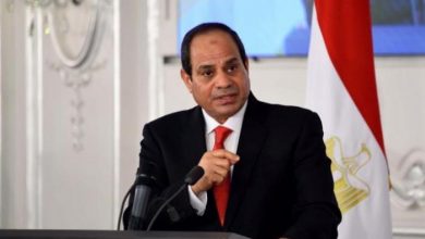 صورة وزيرة التجارة تعرض أمام الرئيس السيسى خطة التنمية الصناعية لصعيد مصر
