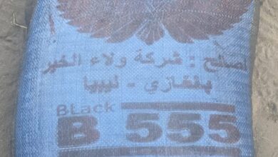الكربون الأسود